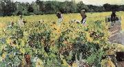 Sherry grape mining